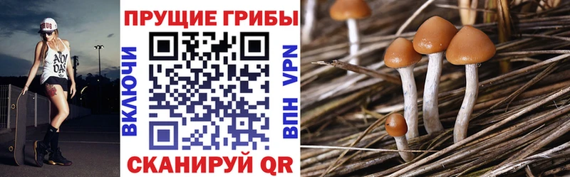 Псилоцибиновые грибы ЛСД  купить наркотики сайты  Пойковский 